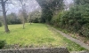 Back Garden.jpg